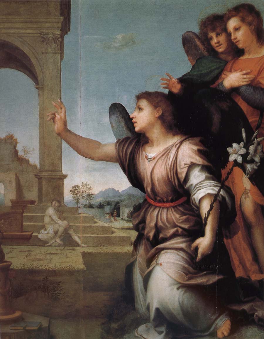 Andrea del Sarto Announce in detail